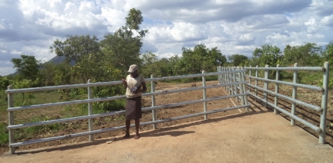 Construction of Cattle crush in Lagoro Sub County, Kitgum District